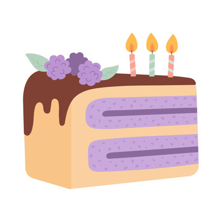 Birthday piece of cake vector illustration