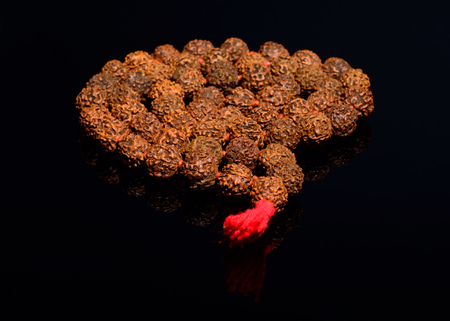 Rudraksha on mirrored black backgroundの写真素材