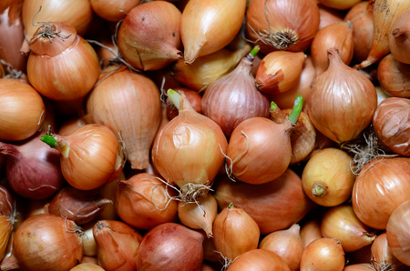 Fresh onions. Onions background. Ripe onions. Onions in marketの写真素材