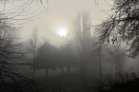 Dawn in the parkの写真素材