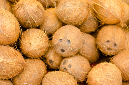Coconuts for saleの写真素材