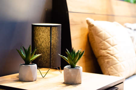 Succulent in a pot on a bedside table.の写真素材