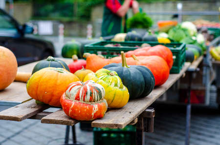 Pumpkin for sale in the market