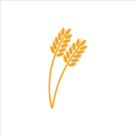 Wheat ears. Barley or rice yellow silhouette, beer or bakery logo isolated elements, organic farm elements for label and emblem, bread packaging, decorative objects, ripe spikelets, vector illustrationのイラスト素材