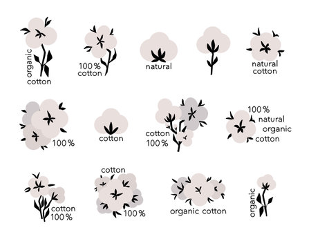 Cotton flower. Organic flowers. White balls with leaves. Textile symbol, pure plants. Blossom fluffy fiber on stem. Rustic trendy greenery cartoon isolated vector botanical illustrationのイラスト素材
