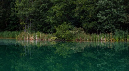 and blue lake surrounded by reedsの写真素材
