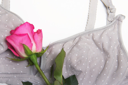 Nursing bra for mothers and Silicon nipples. moms bra with new disposable breast pad. Prevents the flow of milk on the clothes, it is convenient to unfasten the cups for feeding the baby. A rosebud of pink color in the language of flowers means pride and の写真素材