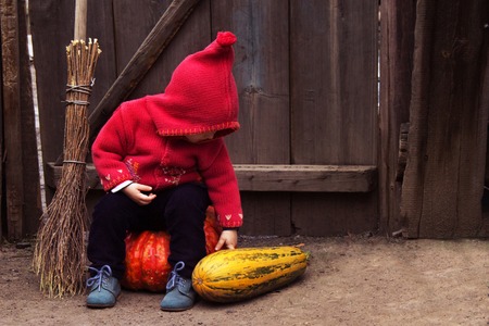 little child girl in red gnome suit or witch sits on a very large pumpkin against the background of a wooden wall and bends down and looks at the pumpkin. Copy space for words.の写真素材