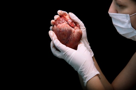 abstract illegal organ transplantation. A human heart in the hand of a surgeon woman. International crime. Assassins in white coats. Death and money. Heart transplant isolated on black background.の写真素材