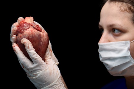 abstract illegal organ transplantation. A human heart in the hand of a surgeon woman.の写真素材