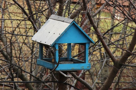 blue garden bird feeder. care of sparrows, cilia and other insectivorous and grainspecious birds in winterの写真素材