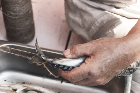 how to smoke fish at home. Male hands wrapping mackerel before smoking.