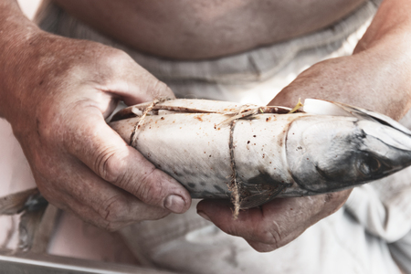 smoking fish. Male hands wrapping mackerel before smoke.