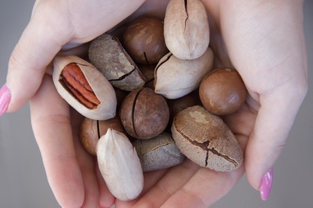 macadamia, Brazil nuts, Bertholletia, pecan on hand. Woman hands holding roasted and notched exotic...