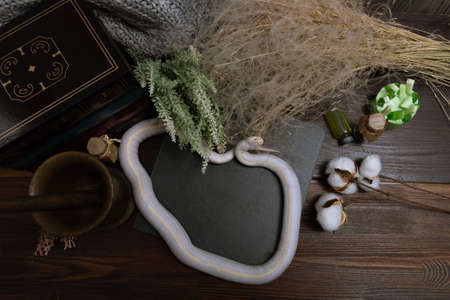 White American royal snake on the background of witchcraft accessories, alchemical instruments and ingredients. Mock up of empty tile dark slate. herbs, mortar, feather and cotton bolls. Halloweenの写真素材