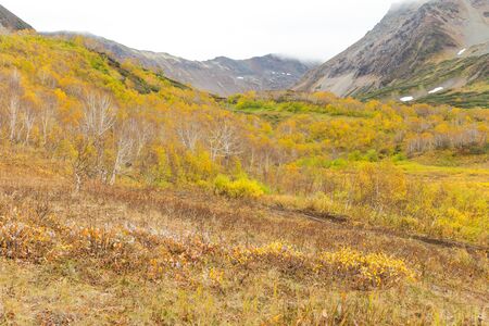 Beautiful colorful autumn landscape in Vachkazhetz volcano, Kamchatka peninsula, Russiaの写真素材