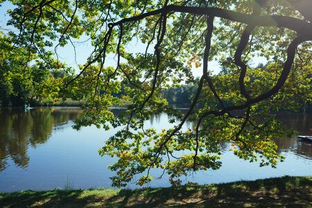 Saint Petersburg, Russia - 10 September 2015 - Oranienbaum, Parkのeditorial素材