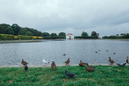 Saint Petersburg, Russia - 18 September 2015 - fountaine and pond with ducks in the upper garden in Peterhof.のeditorial素材