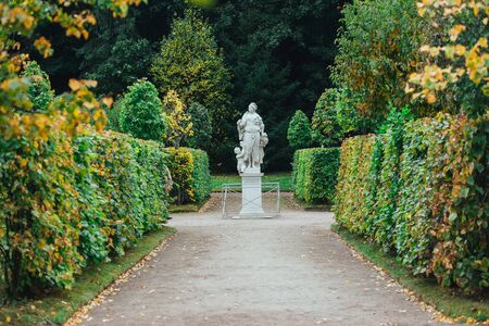 Saint Petersburg, Russia - 18 September 2015 - Trees alley in Peterhof in autumn season with white statueのeditorial素材