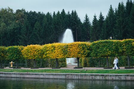 Saint Petersburg, Russia - 18 September 2015 - Trees alley in Peterhof in autumn season with fountaine and pondのeditorial素材