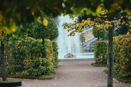 Saint Petersburg, Russia - 18 September 2015 - Trees alley in Peterhof in autumn season with white statue and fountaineのeditorial素材