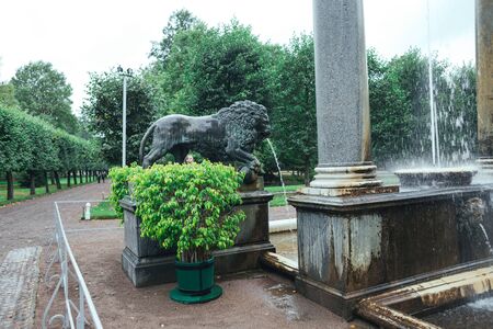 Saint Petersburg, Russia - 18 September 2015 - Fountaine in the upper garden in Peterhof park in rainy day.のeditorial素材