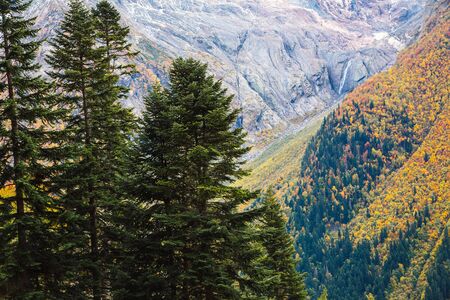 Nature of Dombay in autumn season, beautiful aerial view from the top of the cliff, large aged...