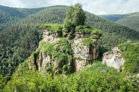 Beautiful nature of Caucasus mountains in summer seasons, green forest on rocks, on the road to thermal springs Gil Su, Russiaの写真素材