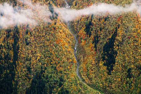 Beautiful colorful yellow forest in the mountains, scenic view from the Mount Mussa Achitara in...