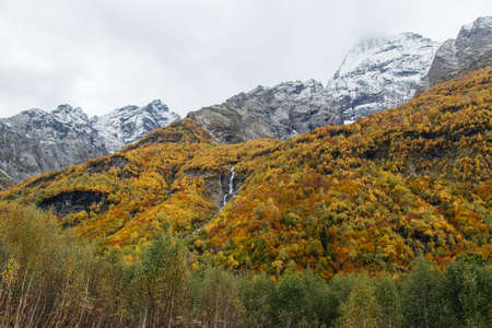 Beautiful colorful landscape in the mountains of Dombay in autumn season, trekking and hiking in the mountains.の写真素材