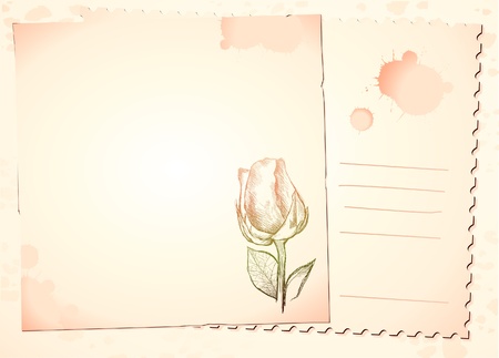 Vintage background with rose, vector imageのイラスト素材