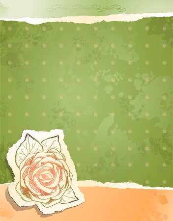 Vintage background with roseのイラスト素材