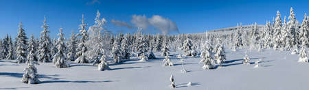 fresh snow shines on a mountain meadow with a forest in the morning sunの写真素材