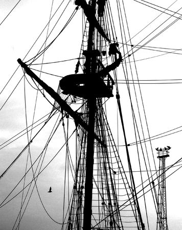The Mast