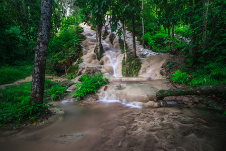 Bua Tong Sticky waterfall in north,Chiangmai,Thailand.の写真素材