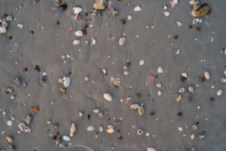Blurry Sea shells, starfish and crab on beach sand for summer and beach concept. Studio shot beach background.の写真素材