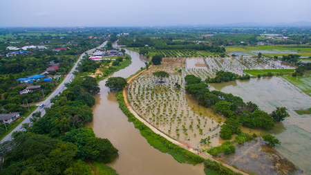 Flooded agricultural fields land.の写真素材