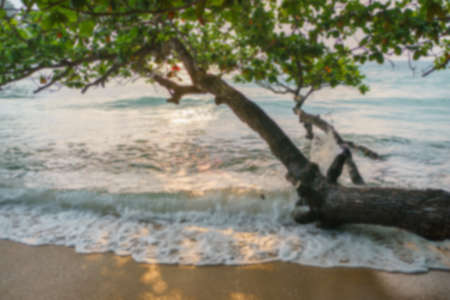 Blury blackground Beautiful  beach . White sand and tree travel tourism wide panorama background...