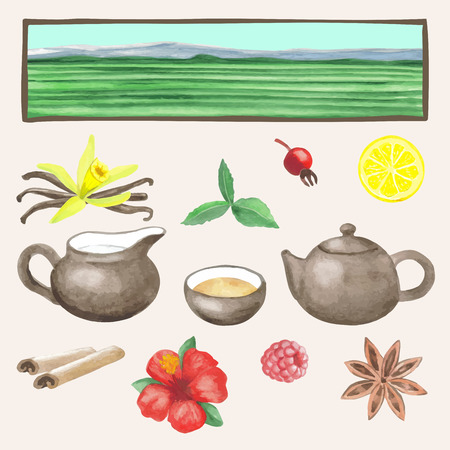 Tea hand drawn watercolour setのイラスト素材