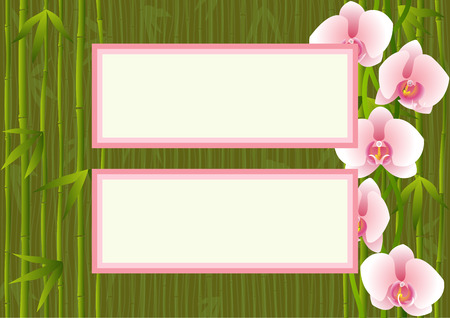 Background with orchids bamboo and two text placesのイラスト素材