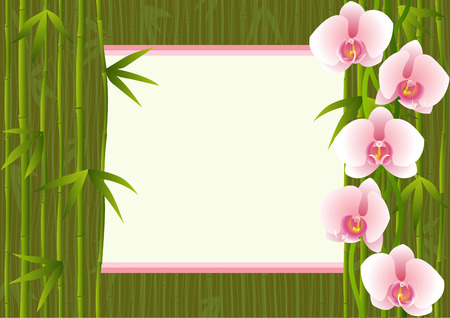 Background with orchids bamboo and text placeのイラスト素材