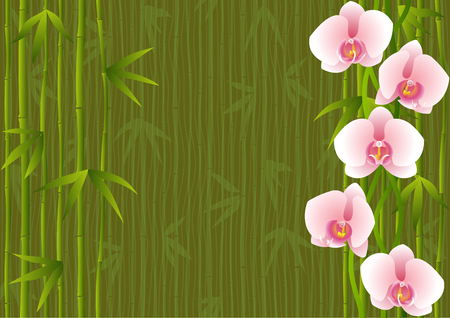 Background with orchids and bambooのイラスト素材