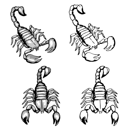 Set of hand drawn doodle scorpionsのイラスト素材