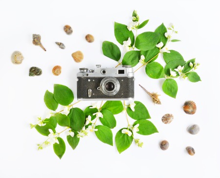 Retro camera with jasmine flowers and seashells on white background. Vintage postcard. Romantic flat layの写真素材