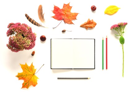 Composition with notebook, flowers and autumn leaves. Top view on white background. Autumn flat lay....