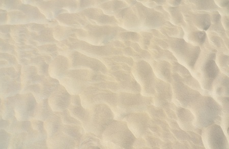 Beach sand background. Close up texture with sea sandの写真素材