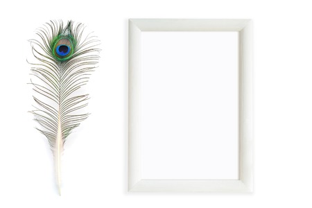 Peacock feathers and rectangular frame on white background. Mock up for art works, wishes, greeting cardsの写真素材