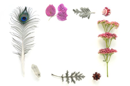Flat lay composition from natural objects on white background. frame for art works, mock ups, wishes, congratulations, greeting cards.の写真素材
