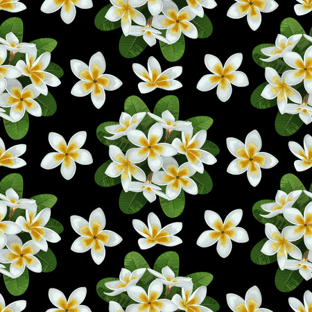 Plumeria Seamless Patternのイラスト素材