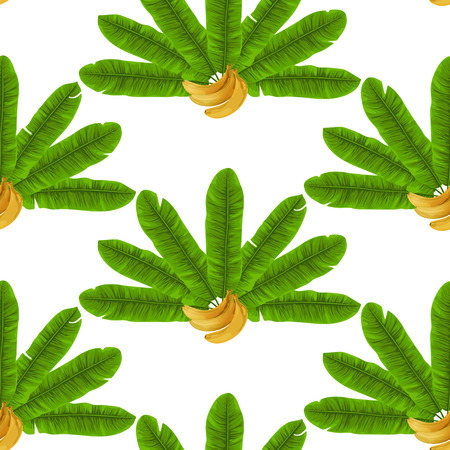 Banana Fan Seamless Patternのイラスト素材